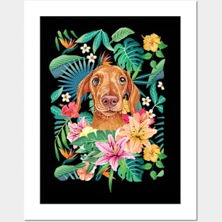 Tropical Red Dachshund Doxie 1 Posters and Art